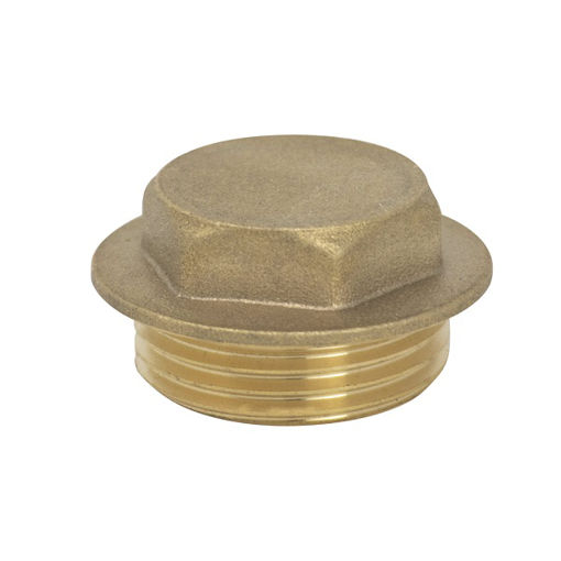 Picture of 1/4" Brass Flange Plug