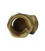 Brass 1 1/4" Swing Check Valve FI