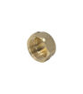 3/4" Brass Threaded Blanking Cap BRBC-E