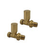 Kartell Brushed Brass Straight Radiator Valves