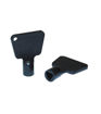 Regin Meter Box Keys (2) REGQ616
