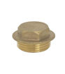 1/4" Brass Flange Plug