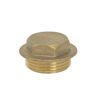 1" Brass Flange Plug
