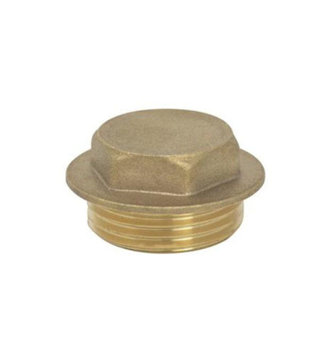 1" Brass Flange Plug