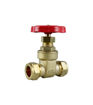 22mm BSS Gate Valve