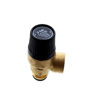 IDEAL 172494 SAFETY VALVE (BI1131 100)
