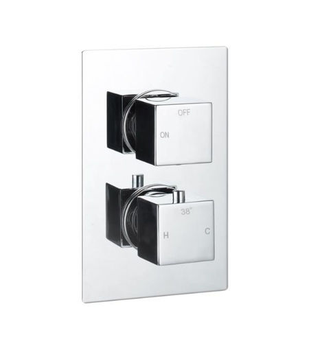 Commercial Thermostatic Single Outlet Twin Shower Valve - Chrome