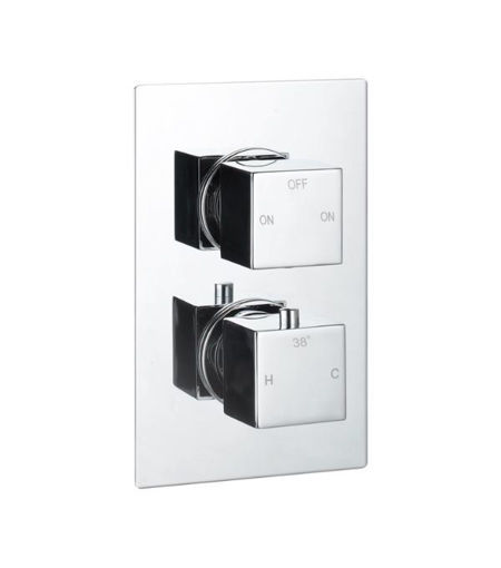 Commercial Thermostatic Two Outlet Twin Shower Valve - Chrome