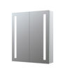 Sassoon 600mm 2 Door Front-Lit LED Mirror Cabinet