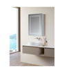 Kilby 500mm 1 Door Front-Lit LED Mirror Cabinet