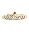 250mm Round Showerhead - Brushed Brass