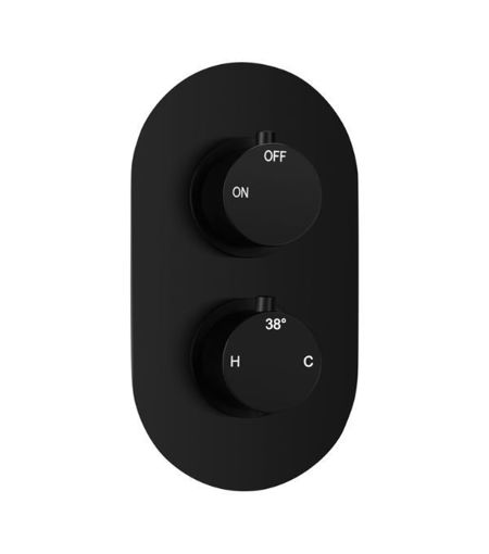 Single Outlet Twin Shower Valve - Matt Black