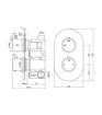 Single Outlet Twin Shower Valve - Matt Black