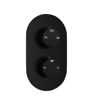 Two Outlet Twin Shower Valve - Matt Black