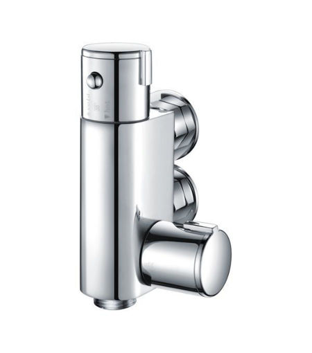 Douche Valve
