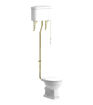 Kingfisher High Level WC & Soft Close Seat w/Brushed Brass Finishes