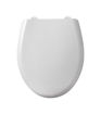 Thorny Soft Close Toilet Seat - White