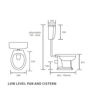 Kingfisher Low Level WC & Satin White Wood Effect Seat w/Brass Finishes