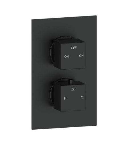 Commercial Thermostatic Two Outlet Twin Shower Valve - Matt Black