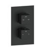 Commercial Thermostatic Two Outlet Twin Shower Valve - Matt Black