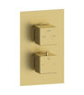 Commercial Thermostatic Two Outlet Twin Shower Valve - Brushed Brass