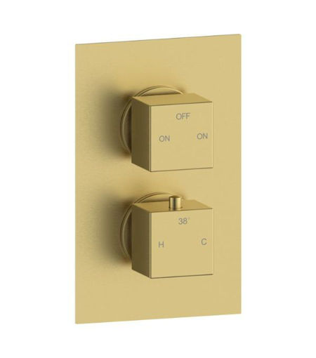 Commercial Thermostatic Two Outlet Twin Shower Valve - Brushed Brass