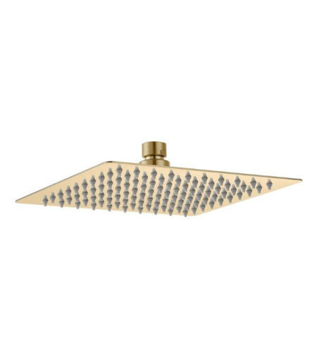 200mm Square Showerhead - Brushed Brass