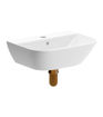 Cedar 450x320mm 1TH Cloakroom Basin & Brushed Bronze Bottle Trap