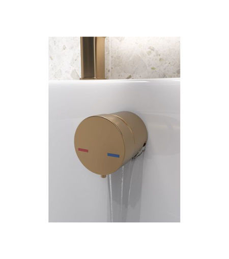 Bath Overflow Filler w/Integrated Valve - Brushed Bronze