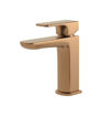 Berrymoor Cloakroom Basin Mixer & Waste - Brushed Bronze