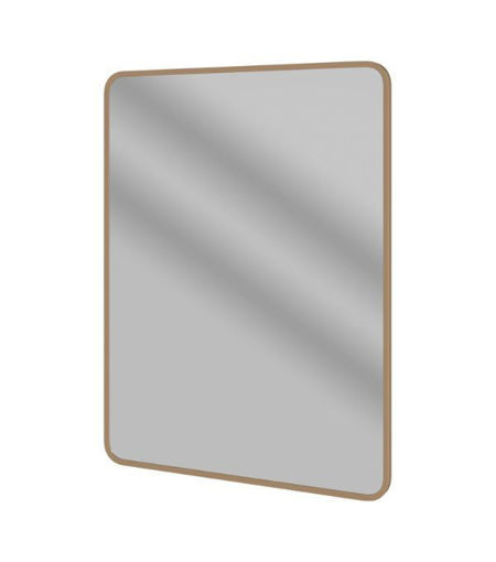 Kendal 600x800mm Rectangle Mirror - Brushed Bronze