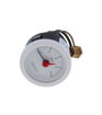 GLOWWORM 2000801166 PRESSURE GAUGE COMPACT