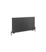 81.0157 - Tunstall Double Horizontal 600x1179mm