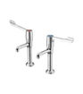 Armitage Shanks Markwik High Neck Pillar Taps
